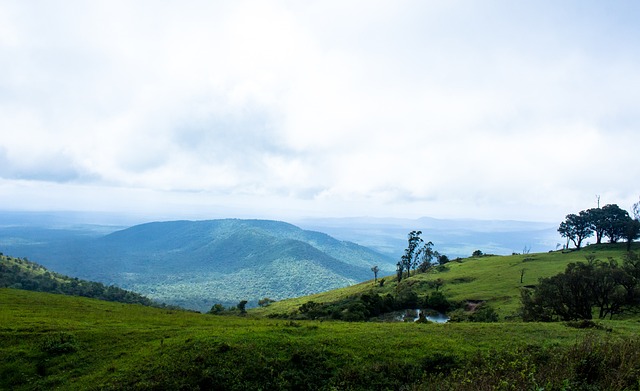 球员风格和 球员风格和